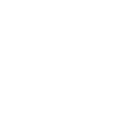 Tab/System Audio