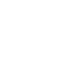 Mic